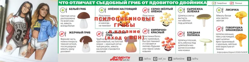 Галлюциногенные грибы мухоморы  Астрахань 